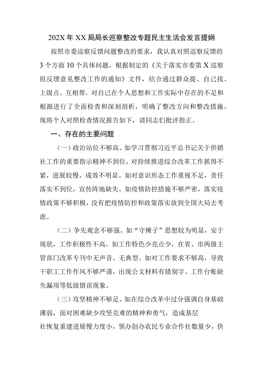 202X年XX局局长巡察整改专题民主生活会发言提纲.docx_第1页