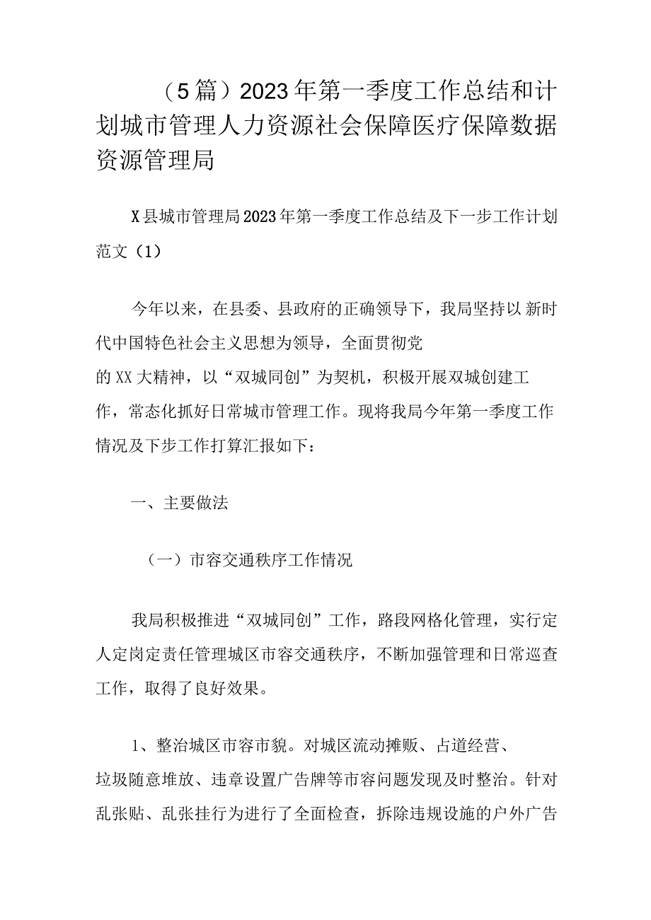 5篇2023年第一季度工作总结和计划城市管理人力资源社会保障医疗保障数据资源管理局.docx_第1页