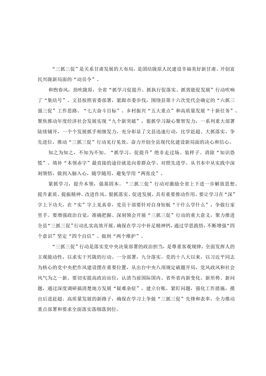 6篇开展三抓三促行动研讨心得体会发言材料2023年抓学习促提升抓执行促落实抓效能促发展三抓三促行动开展情况总结汇报.docx_第3页