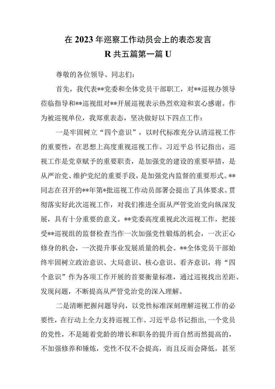 5篇在2023年巡察工作动员会上的表态发言.docx_第1页