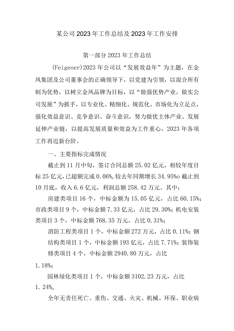 某公司2023年工作总结及2023年工作安排.docx_第1页