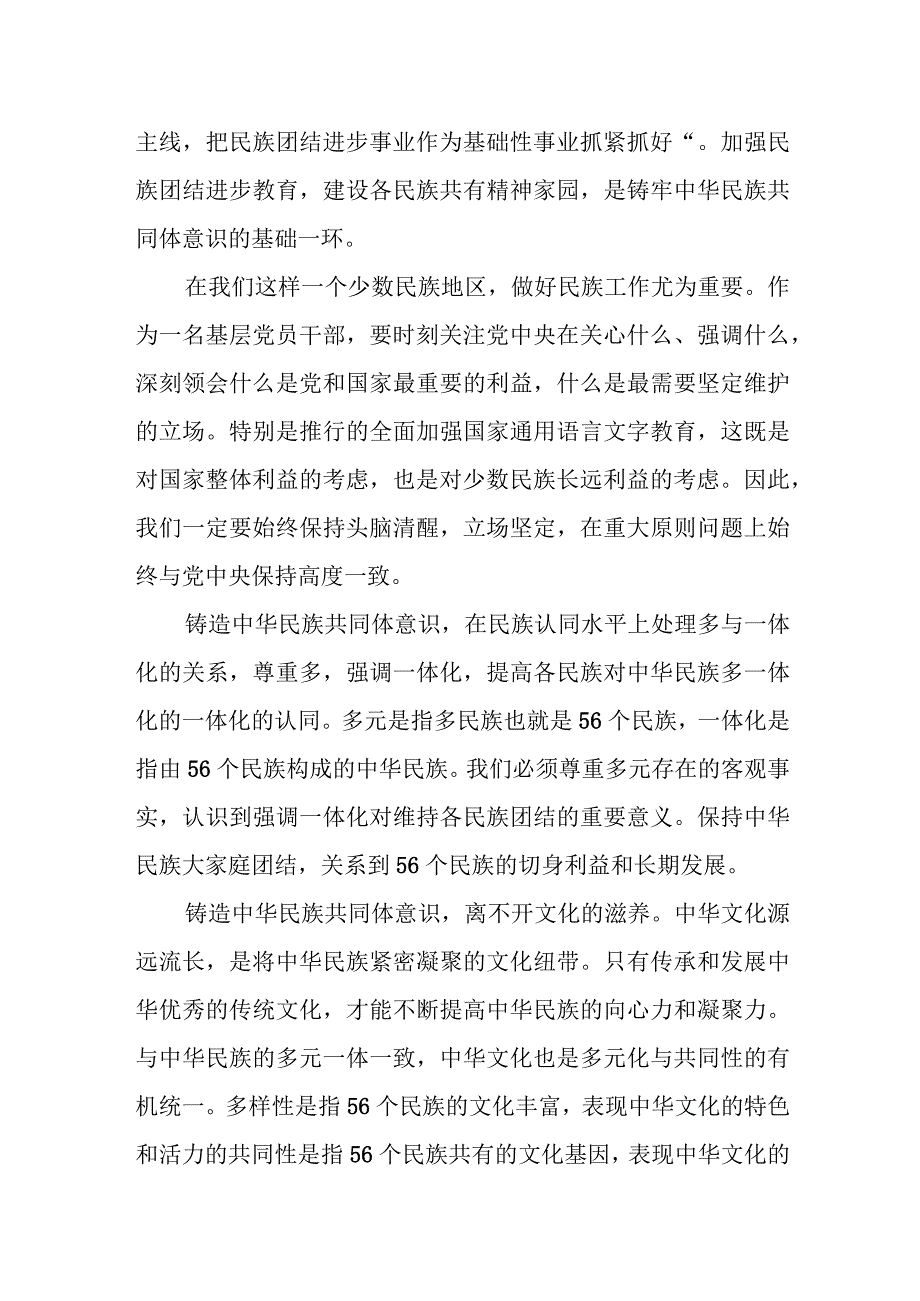 某区人大常委会副主任铸牢中华民族共同体意识研讨材料.docx_第2页