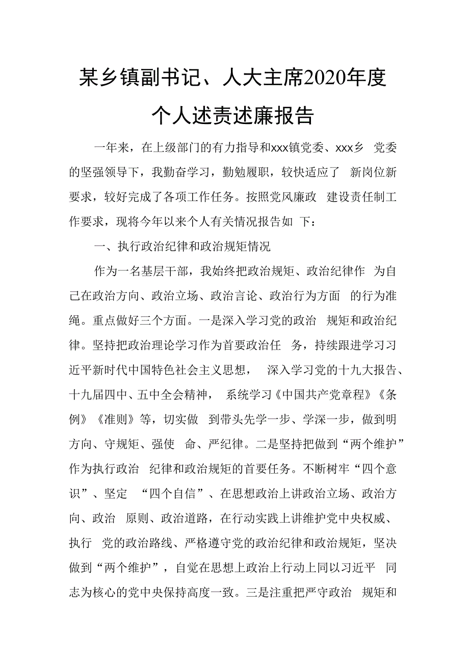 某乡镇副书记人大主席2023年度个人述责述廉报告.docx_第1页