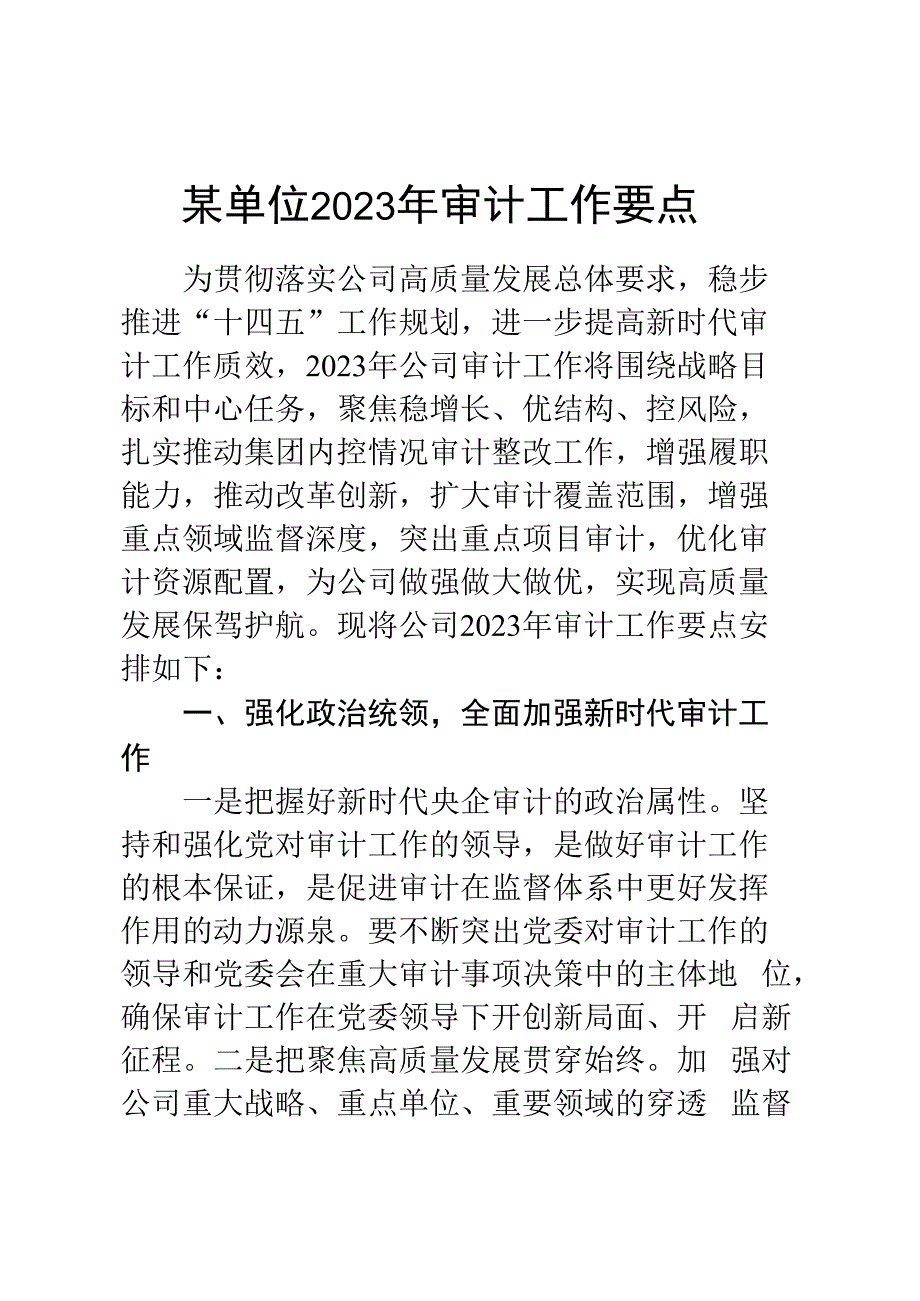 某单位2023年审计工作要点.docx_第1页