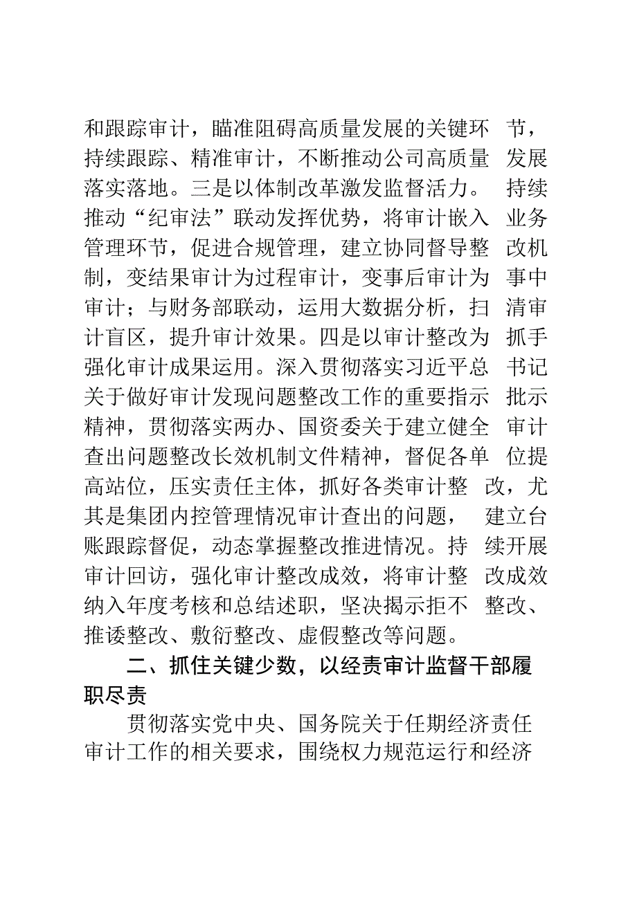 某单位2023年审计工作要点.docx_第2页