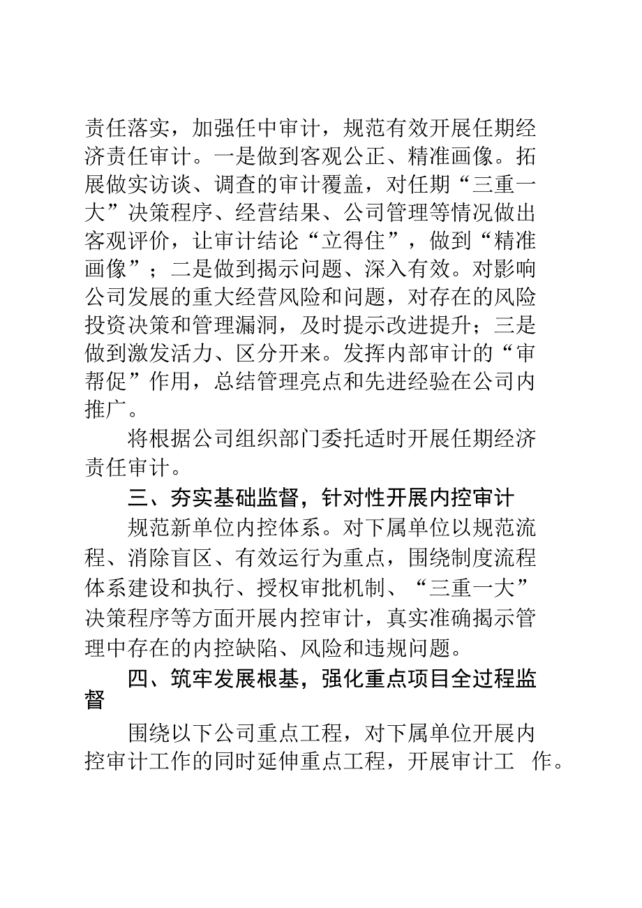 某单位2023年审计工作要点.docx_第3页