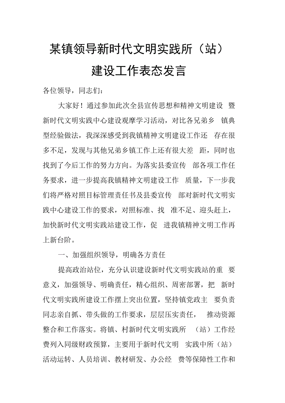 某镇领导新时代文明实践所站建设工作表态发言.docx_第1页