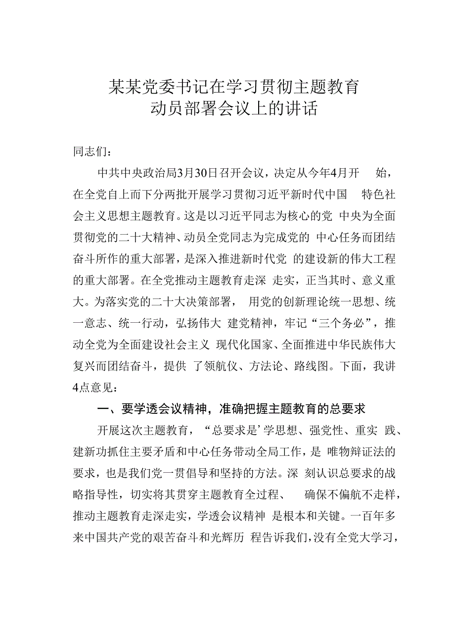 某某党委书记在学习贯彻主题教育动员部署会议上的讲话.docx_第1页