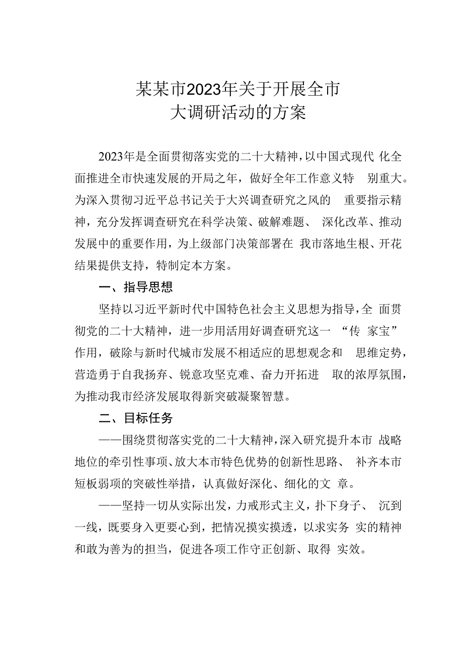 某某市2023年关于开展全市大调研活动的方案.docx_第1页