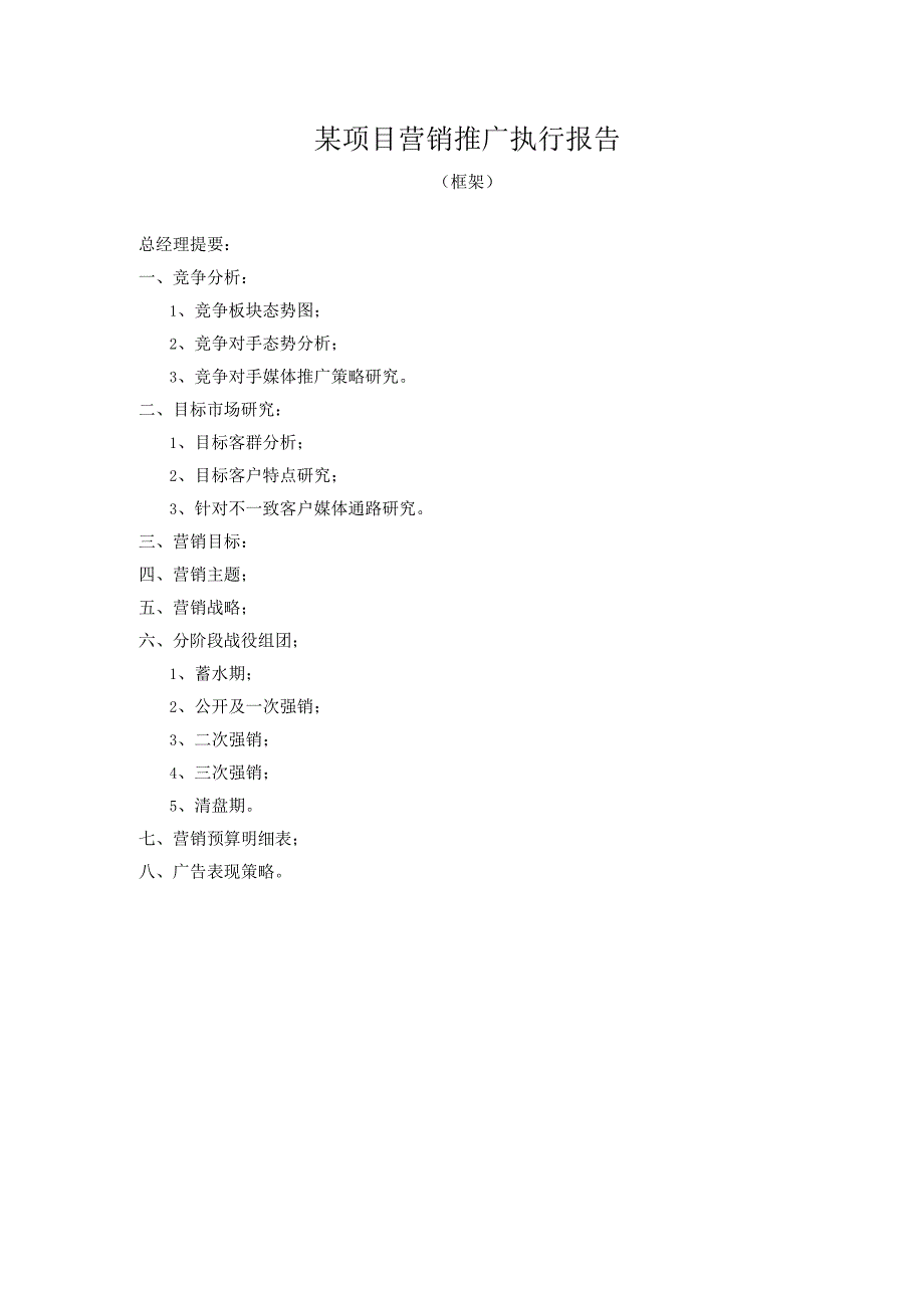某项目营销推广执行报告.docx_第1页