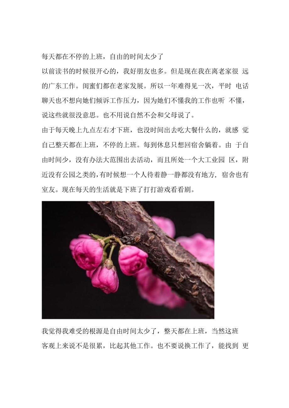 每天都在不停的上班自由的时间太少了.docx_第1页