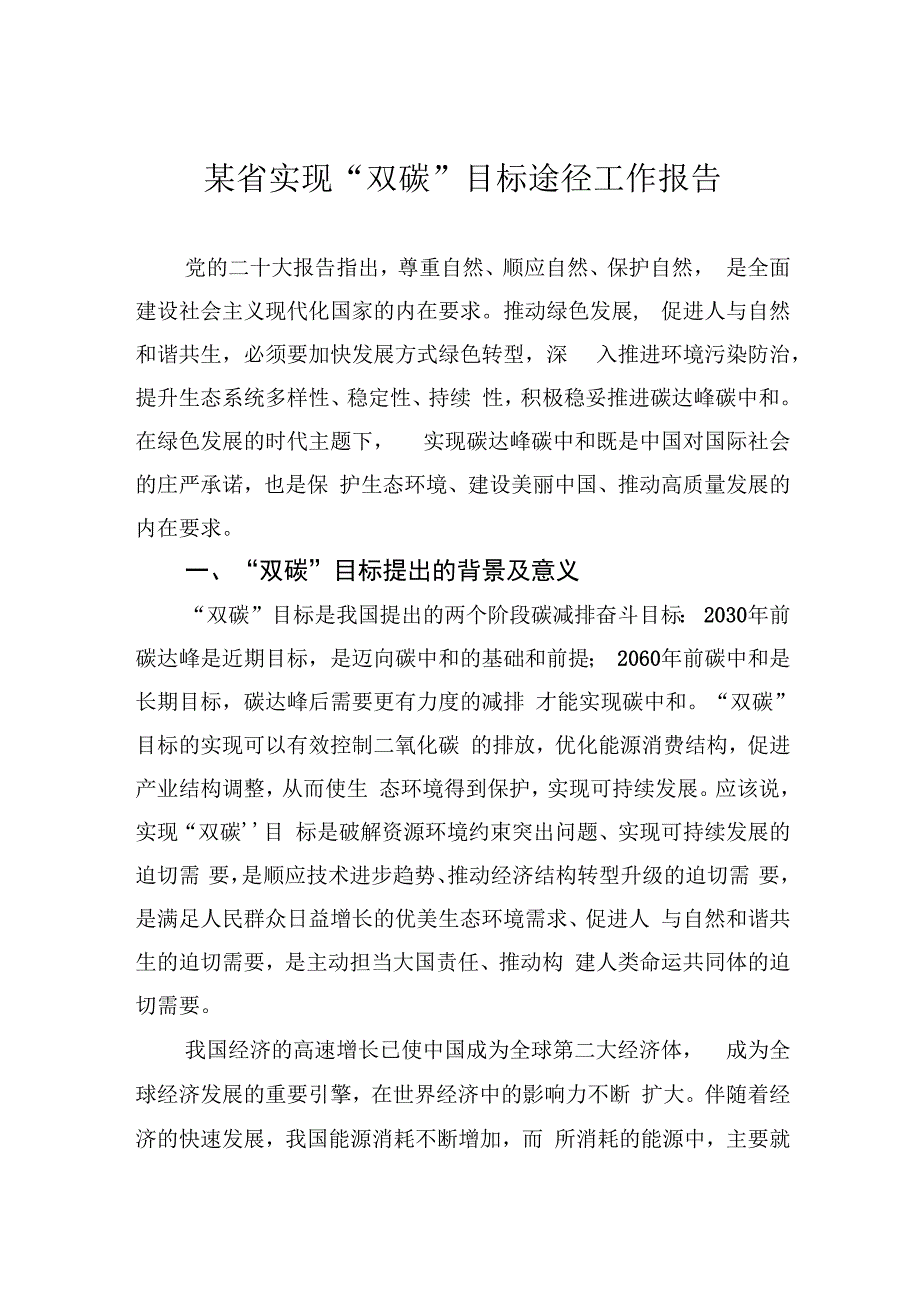 某省实现双碳目标途径工作报告.docx_第1页