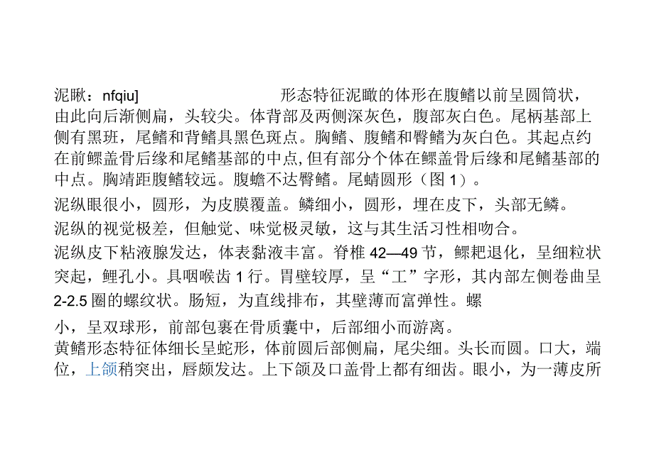 泥鳅公开课.docx_第1页