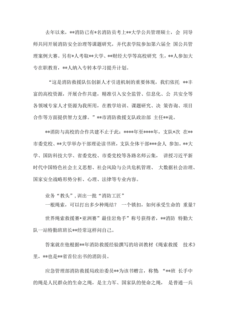 消防救援支队人才队伍建设工作综述.docx_第3页