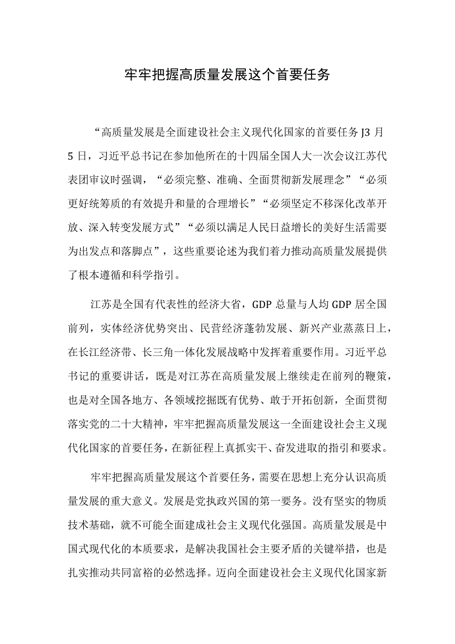 牢牢把握高质量发展这个首要任务1.docx_第1页