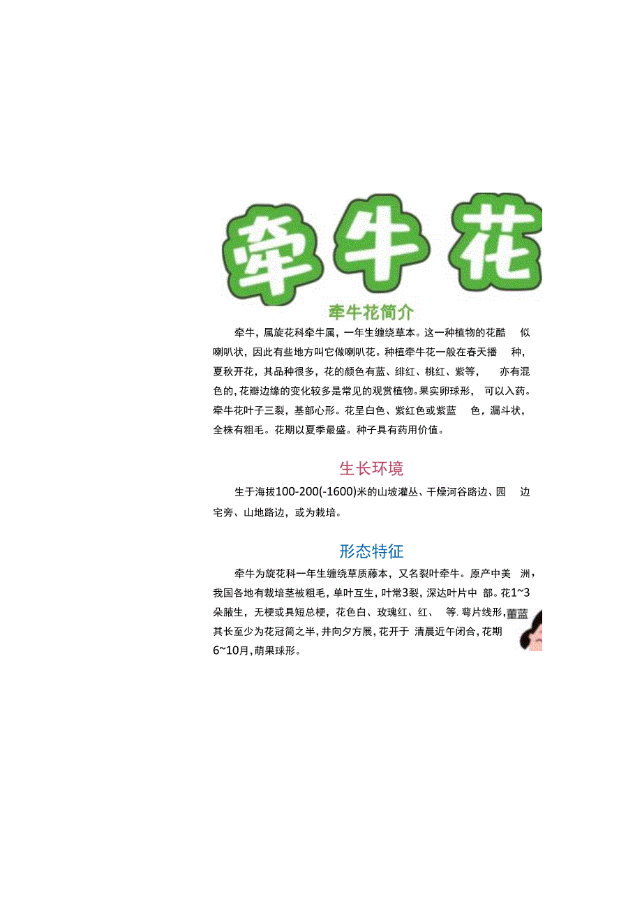 牵牛花植物生长过程分解手抄报小报.docx_第2页