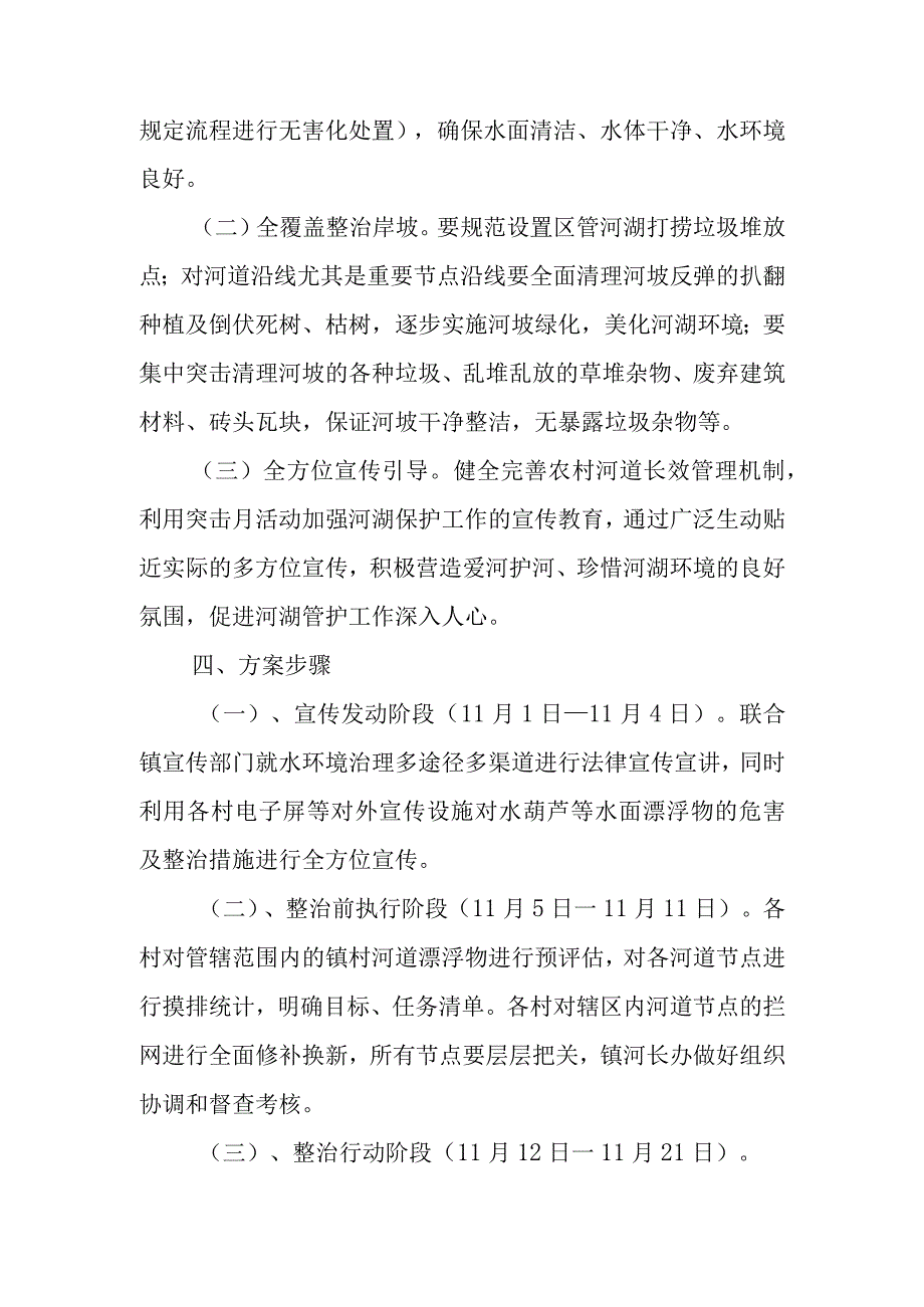 XX镇2023年全域清漂专项整治突击月行动方案.docx_第2页