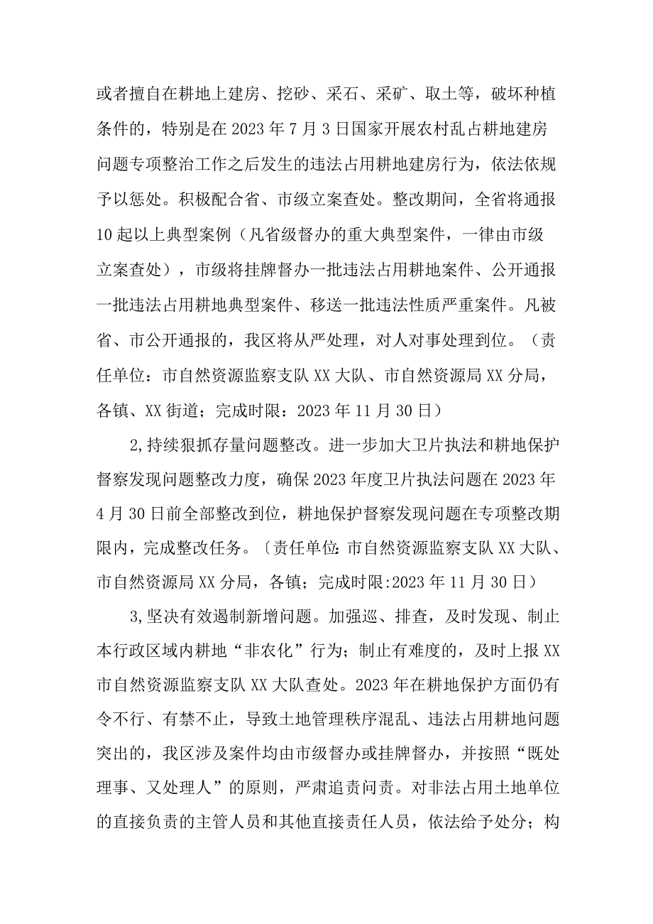 XX区耕地保护领域突出问题专项整改工作方案.docx_第2页