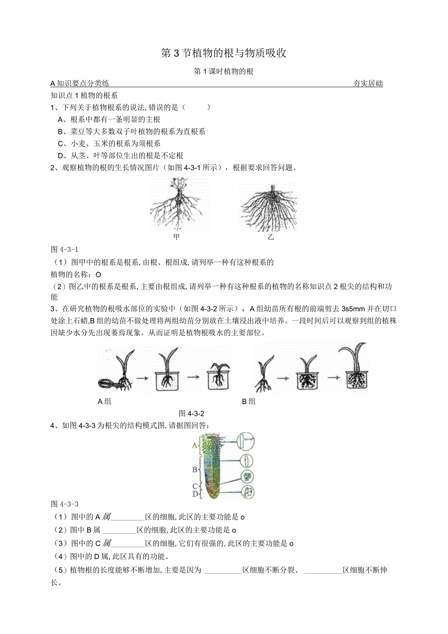 8431植物的根原卷版公开课教案教学设计课件资料.docx_第1页