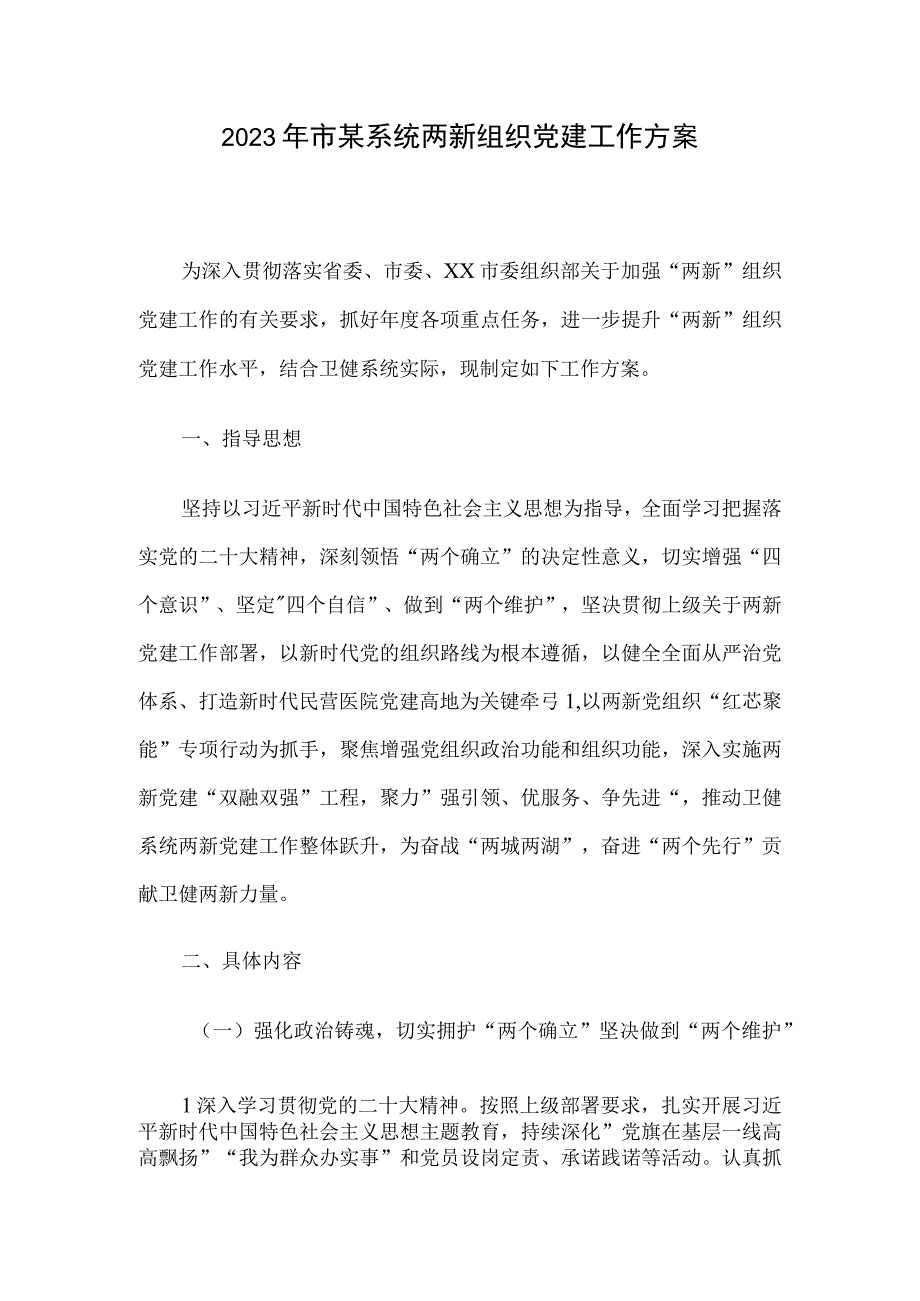 2023年市某系统两新组织党建工作方案.docx_第1页