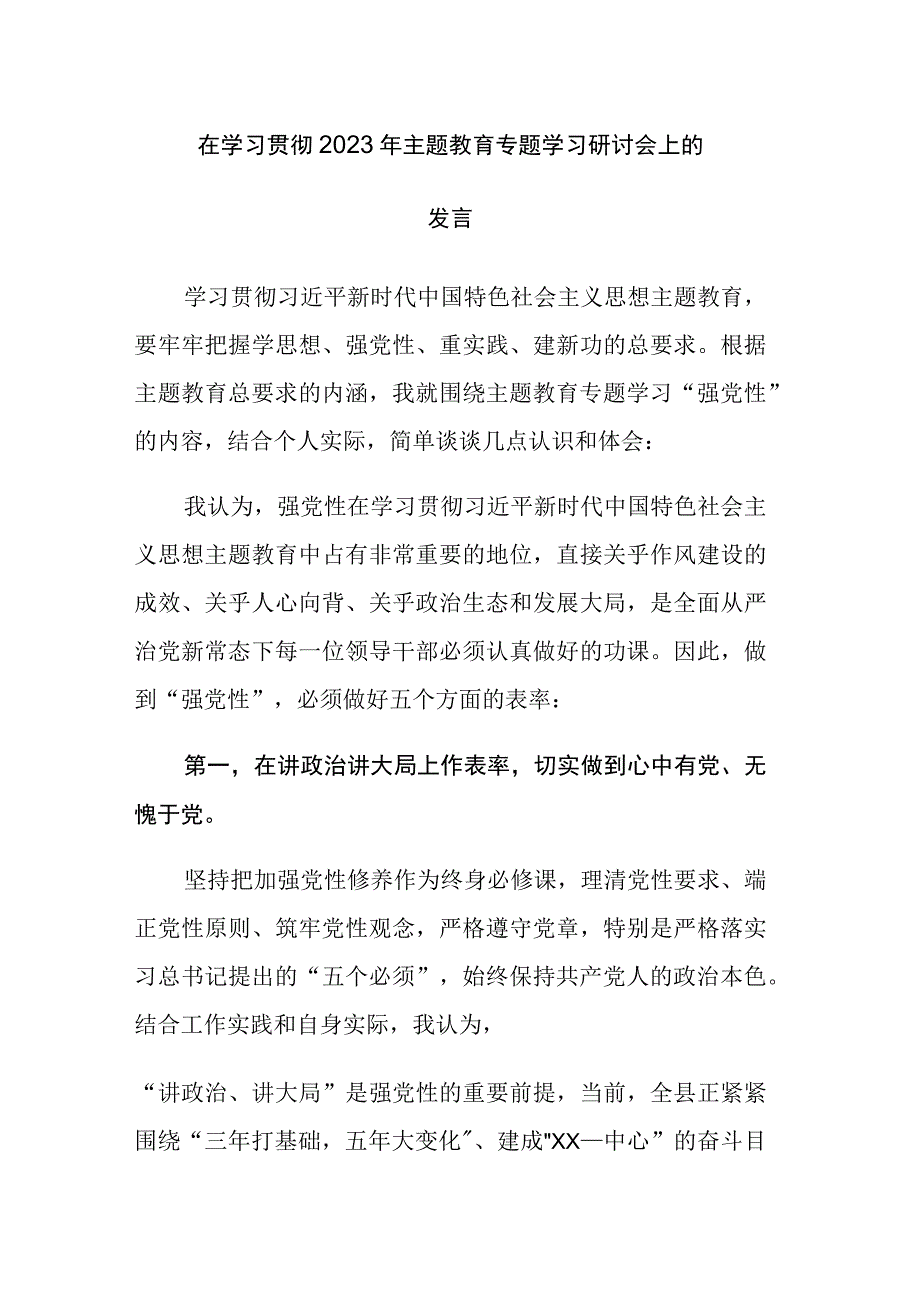 2023年在学习贯彻主题教育专题学习研讨会上的发言范文2篇.docx_第1页