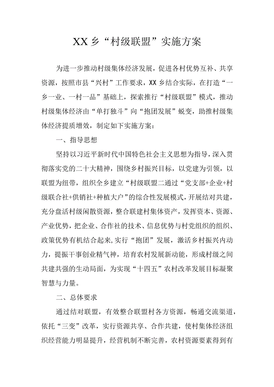 XX乡村级联盟实施方案.docx_第1页