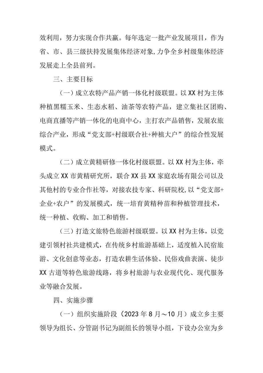 XX乡村级联盟实施方案.docx_第2页