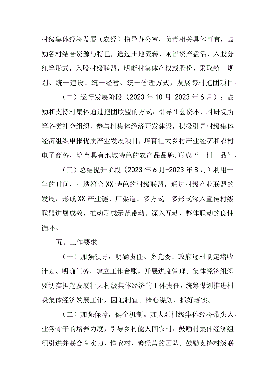 XX乡村级联盟实施方案.docx_第3页