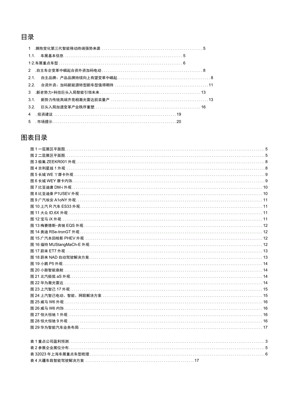 2023年汽车行业发展分析报告八.docx_第2页