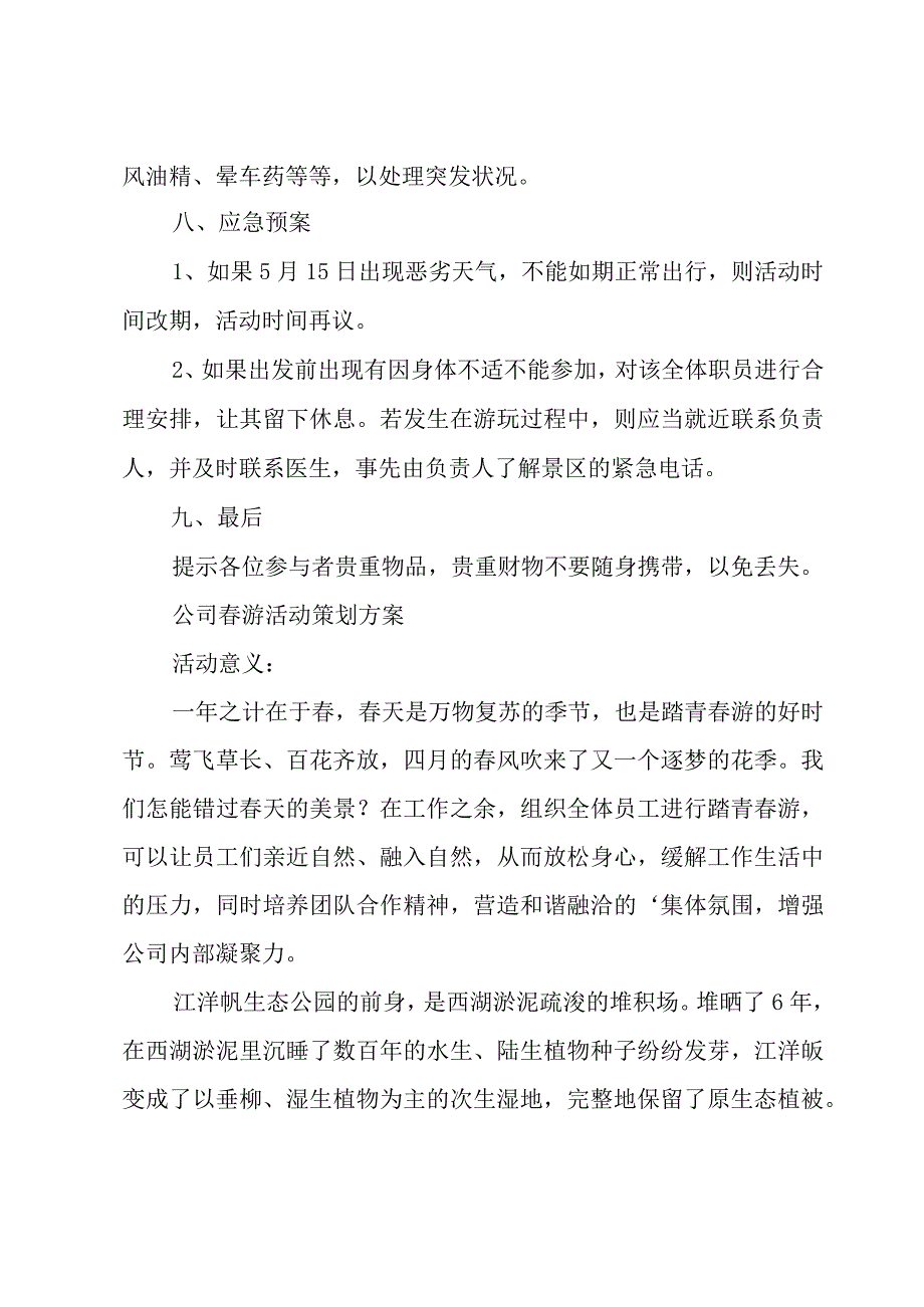 公司春游活动策划方案.docx_第3页