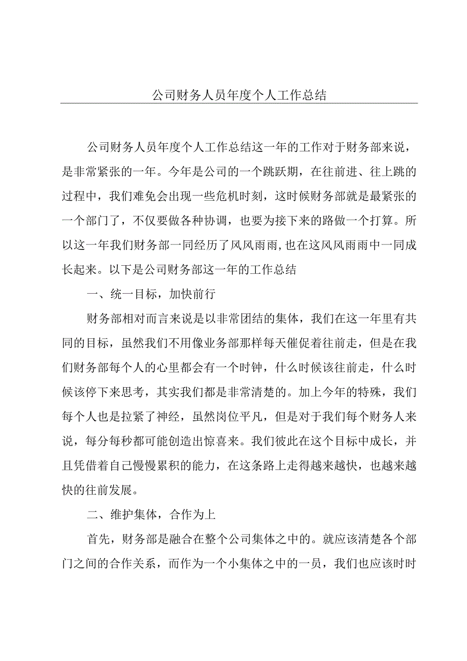 公司财务人员年度个人工作总结.docx_第1页