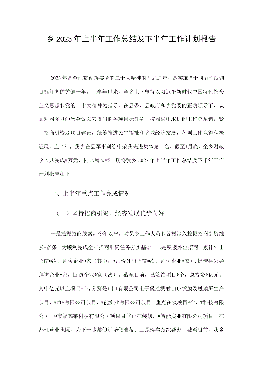 乡2023年上半年工作总结及下半年工作计划报告.docx_第1页