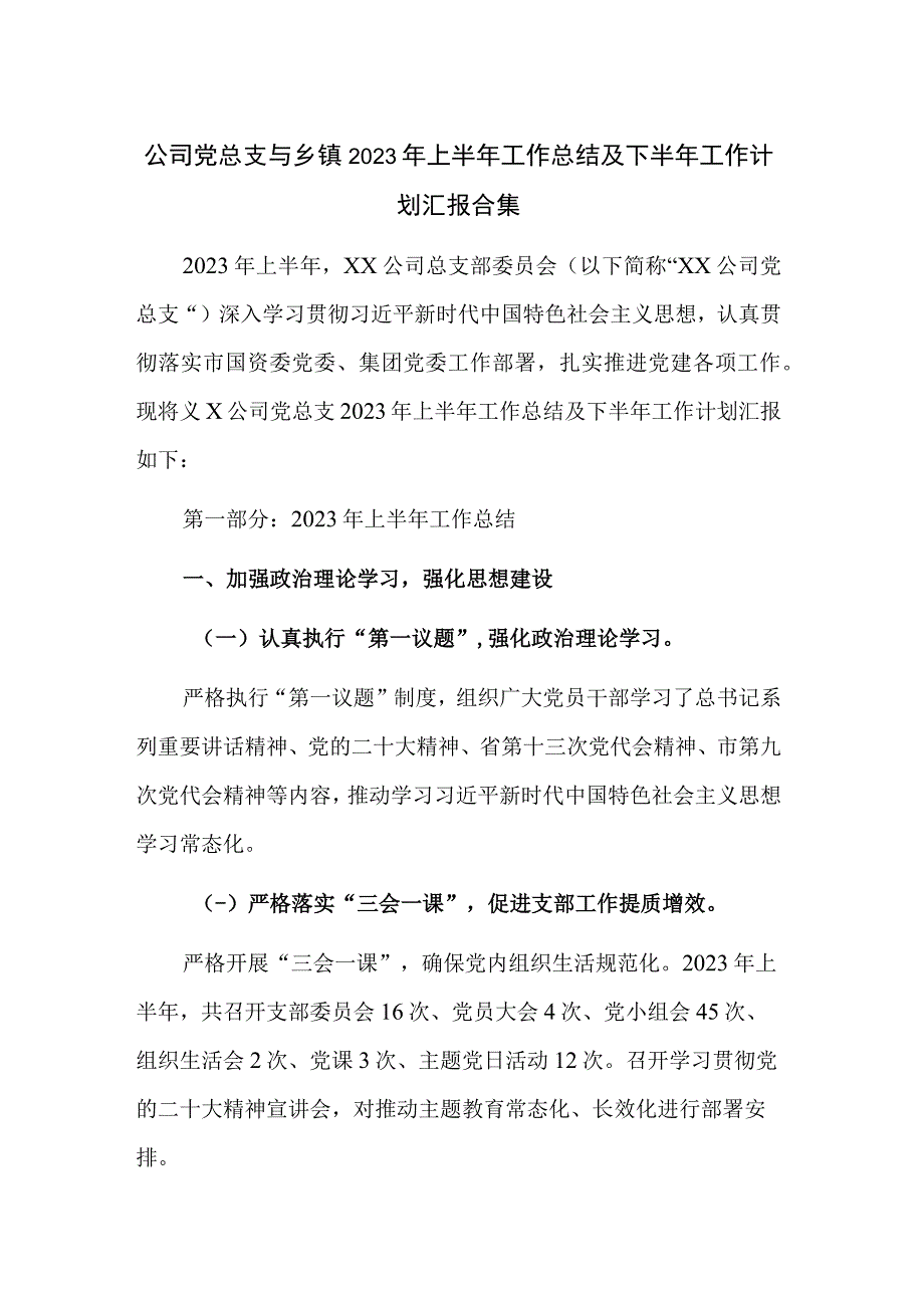 公司党总支与乡镇2023年上半年工作总结及下半年工作计划汇报合集.docx_第1页