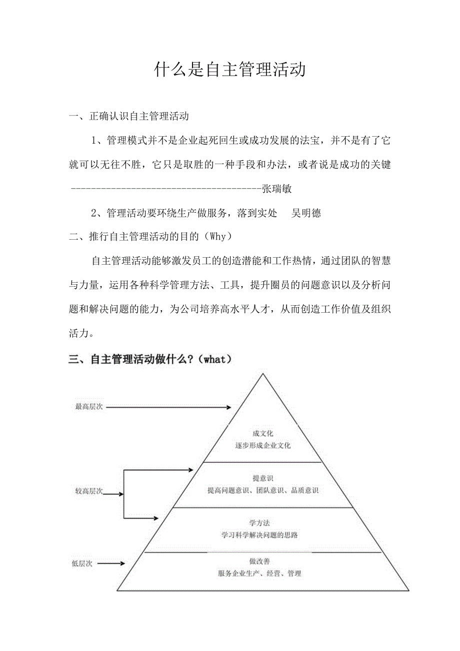 什么是自主管理活动.docx_第1页