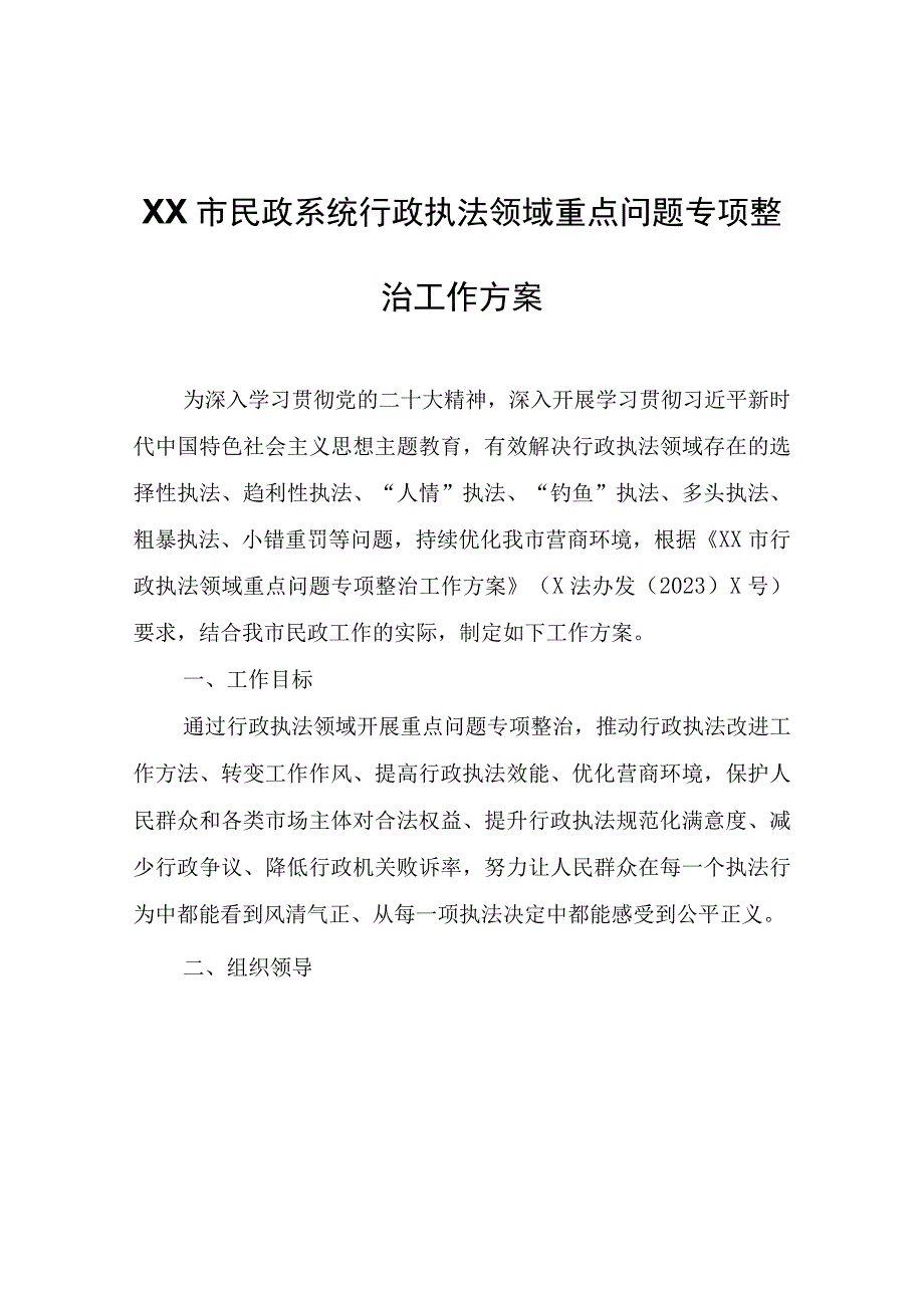 XX市民政系统行政执法领域重点问题专项整治工作方案.docx_第1页