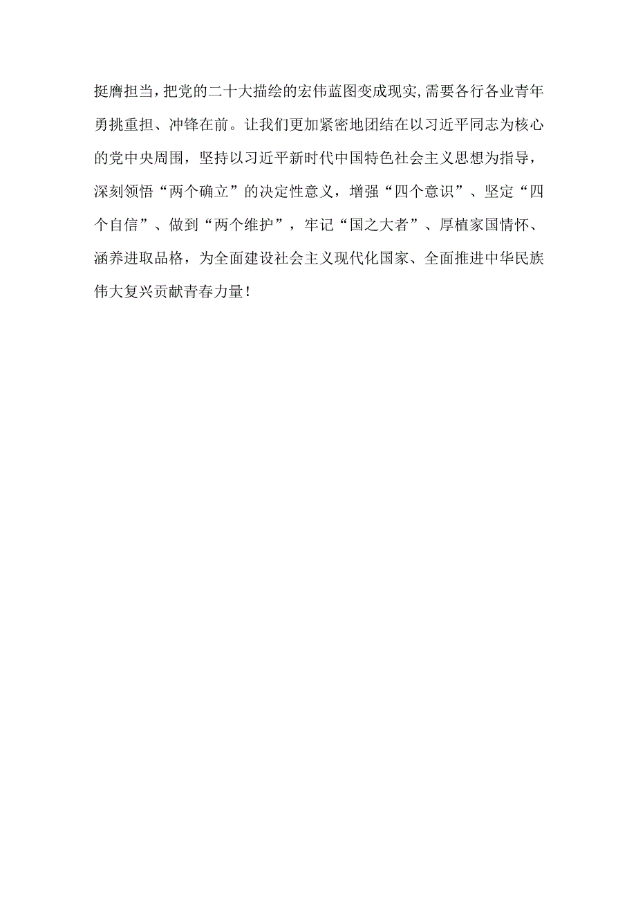 党员2023年团十九大学习心得可修改资料.docx_第3页