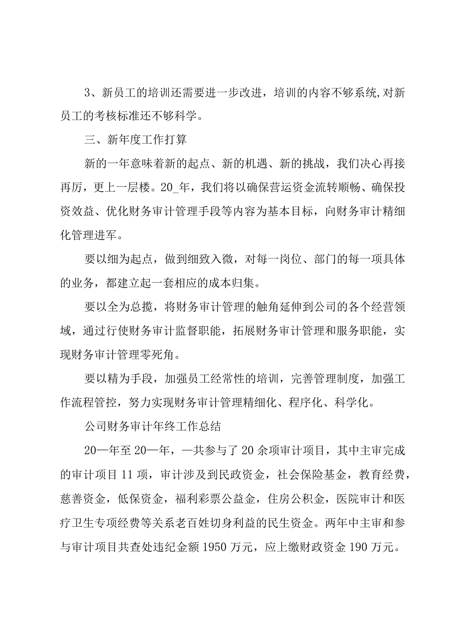 公司财务审计年终工作总结.docx_第3页