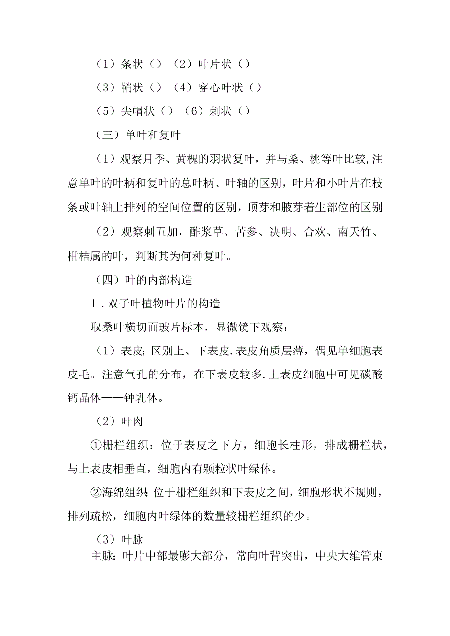 南医大药用植物学实验指导08叶的形态和内部构造.docx_第2页