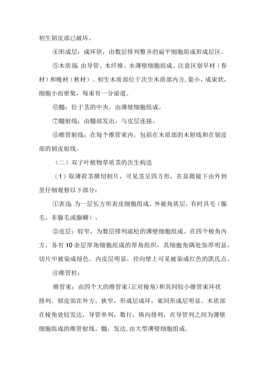 南医大药用植物学实验指导第9项 双子叶植物茎与裸子植物茎的次生构造.docx_第3页