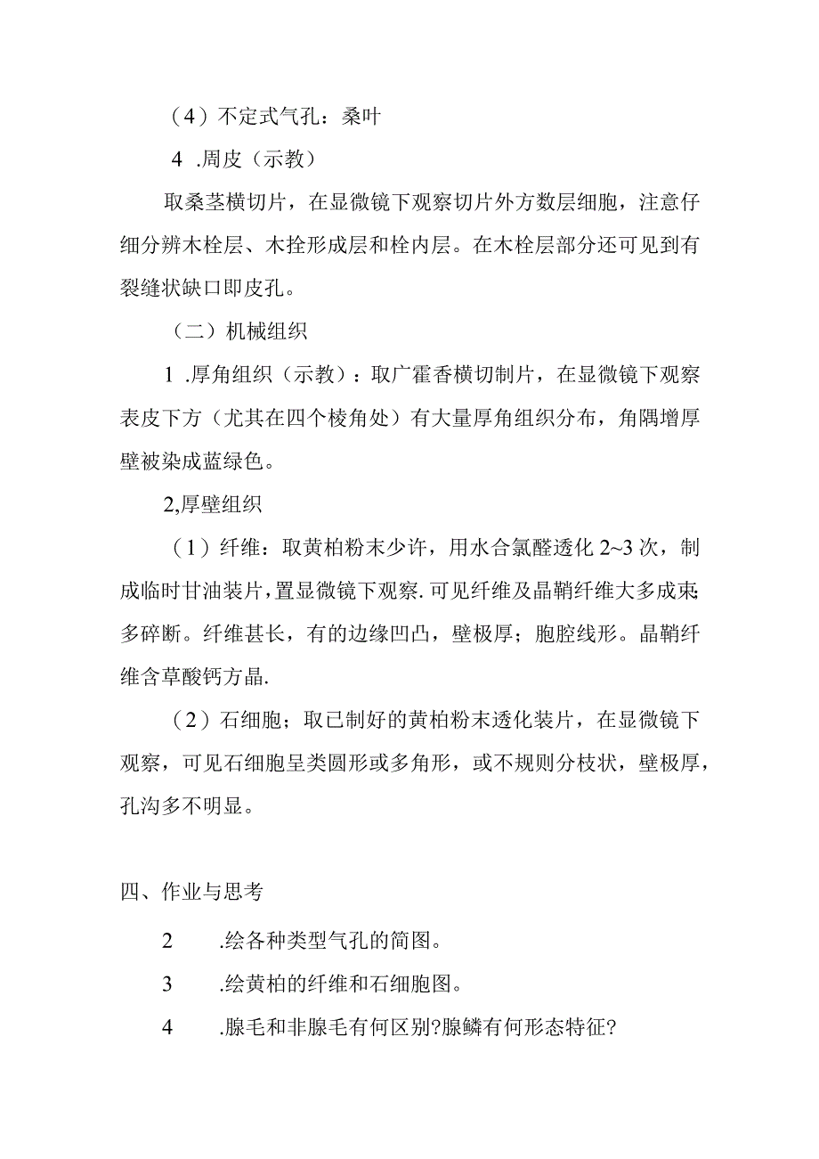 南医大药用植物学实验指导02保护组织和机械组织.docx_第3页