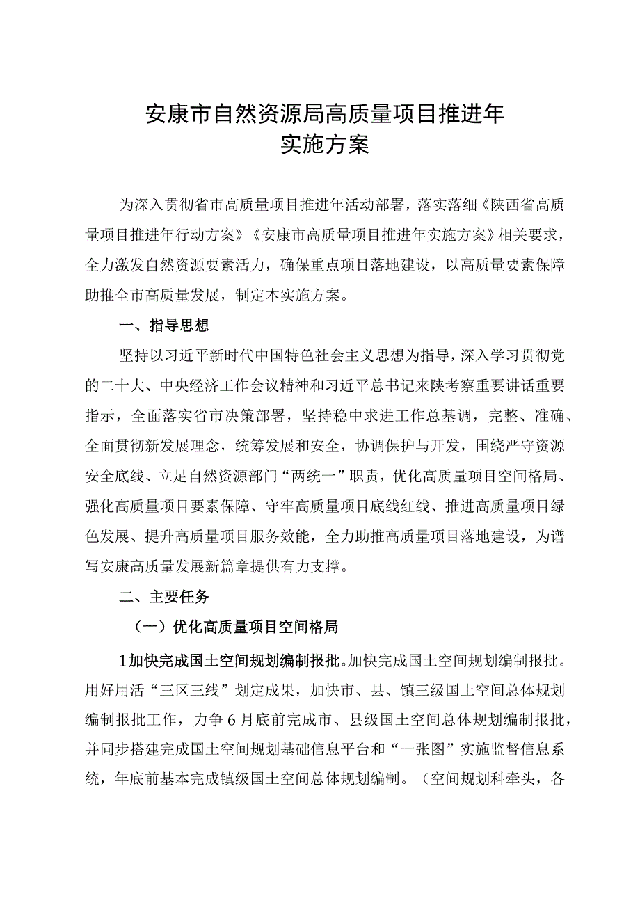 安康市自然资源局高质量项目推进年实施方案.docx_第1页