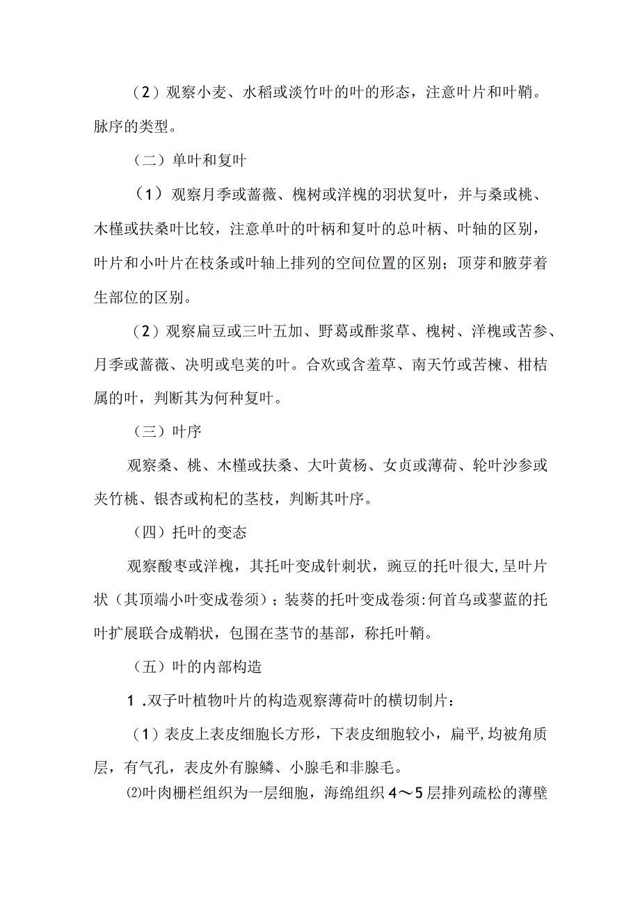 南医大药用植物学实验指导第11项 叶的形态和内部构造及叶序的类型托叶的变态.docx_第2页