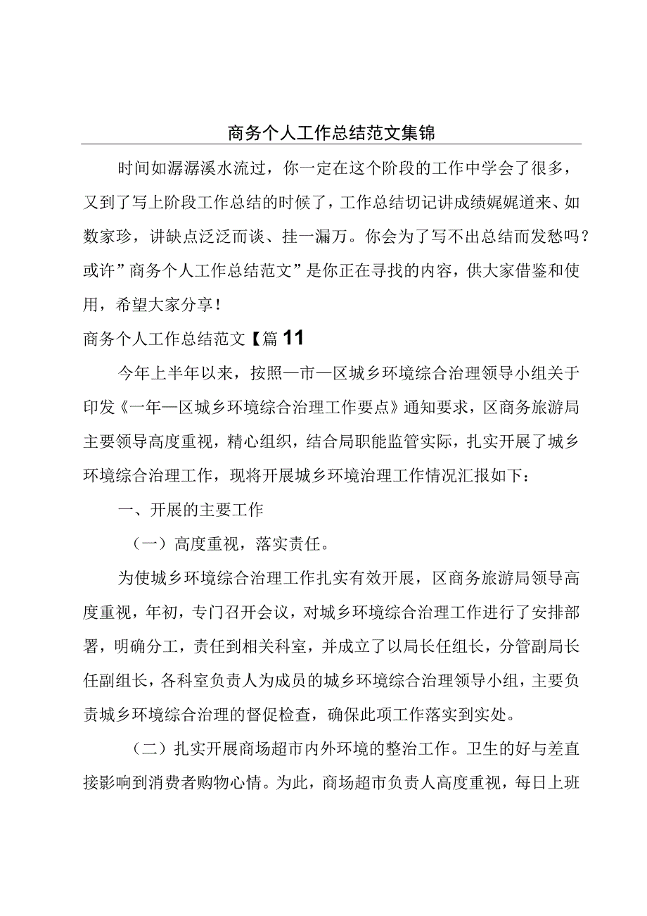 商务个人工作总结范文集锦.docx_第1页