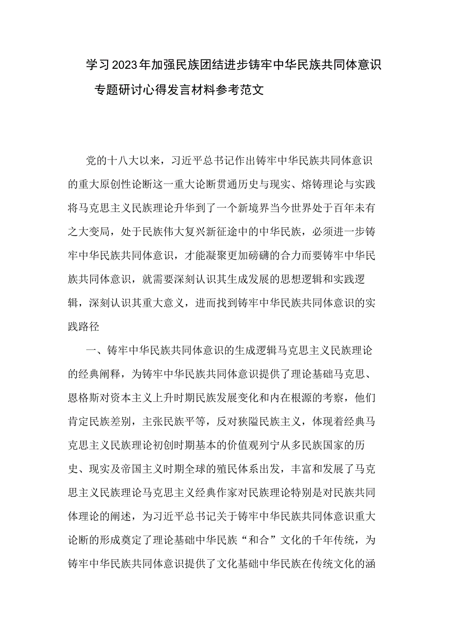 学习2023年加强民族团结进步铸牢中华民族共同体意识专题研讨心得发言材料参考范文.docx_第1页