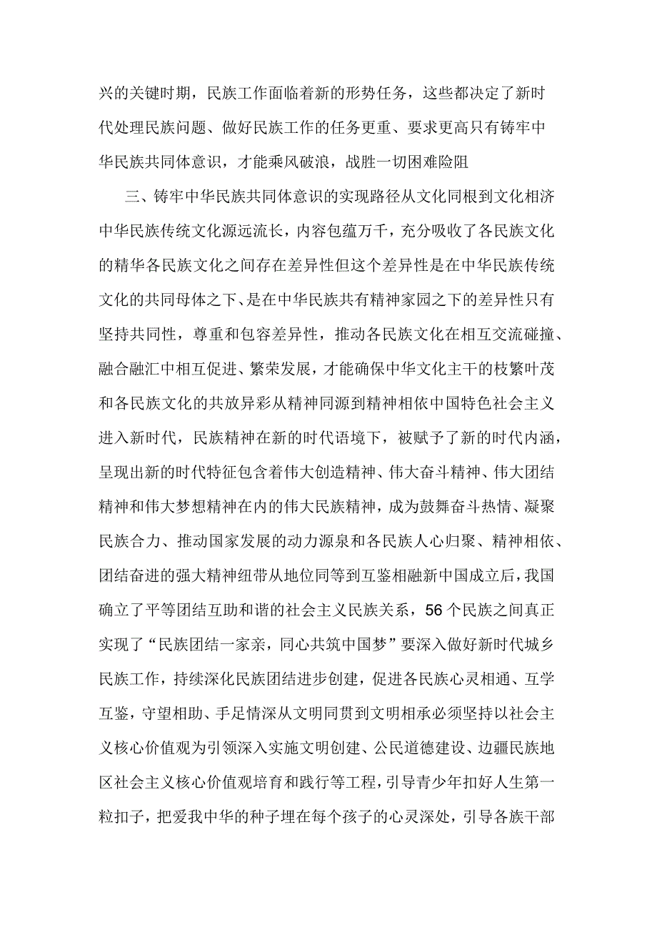 学习2023年加强民族团结进步铸牢中华民族共同体意识专题研讨心得发言材料参考范文.docx_第3页