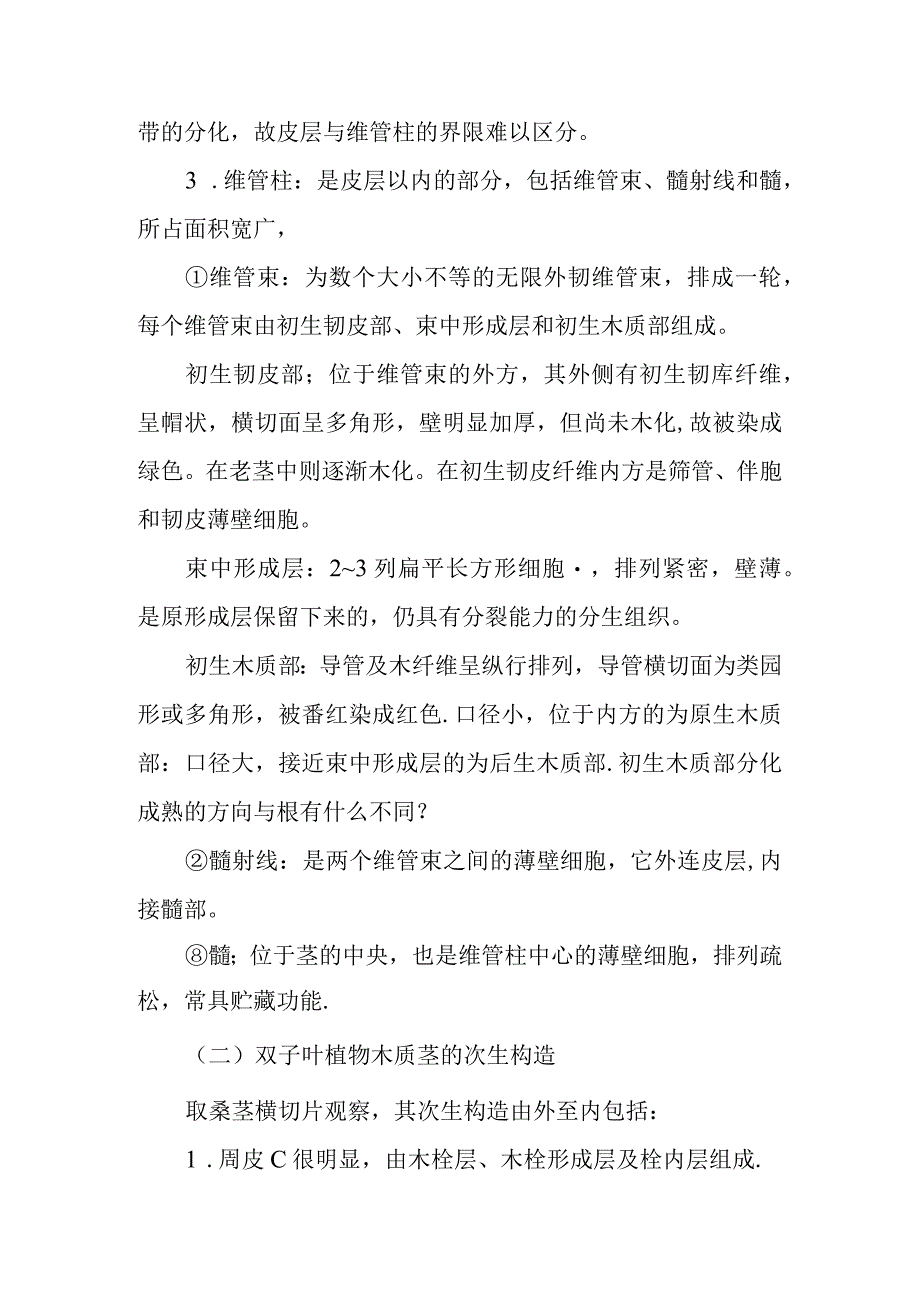 南医大药用植物学实验指导06双子叶植物茎的初生构造及木质茎的次生构造.docx_第2页