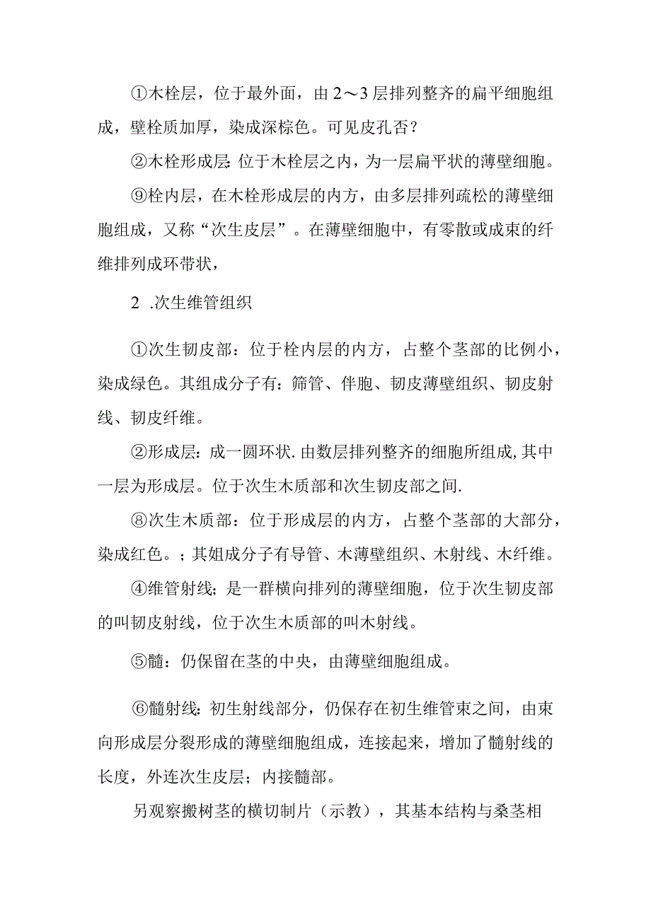 南医大药用植物学实验指导06双子叶植物茎的初生构造及木质茎的次生构造.docx_第3页