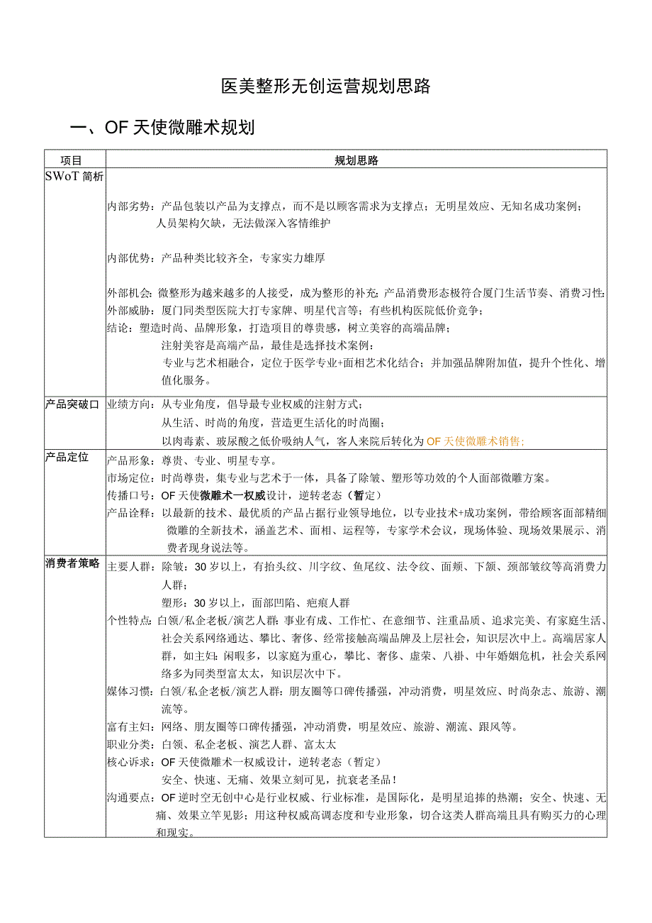 医美整形无创运营规划思路.docx_第1页