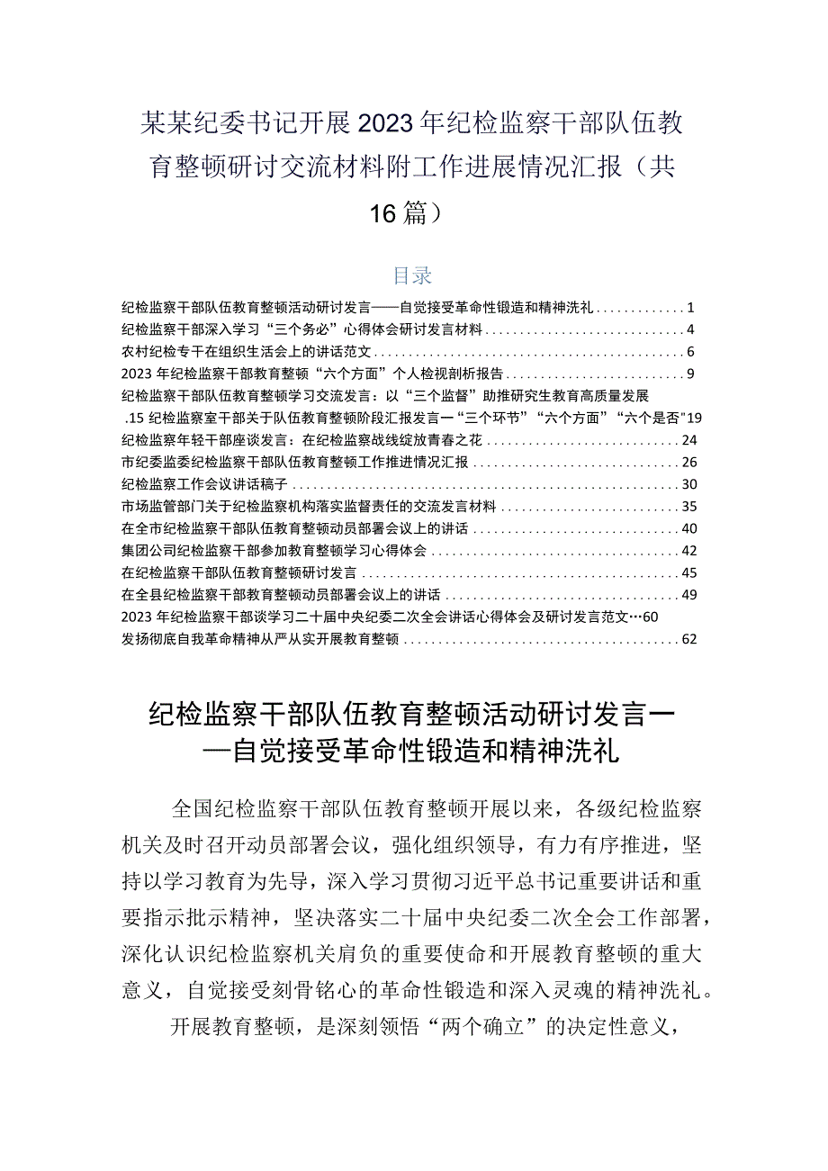 某某纪委书记开展2023年纪检监察干部队伍教育整顿研讨交流材料附工作进展情况汇报共16篇.docx_第1页