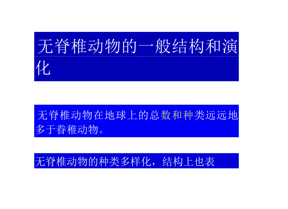 无脊椎动物演化.docx_第1页